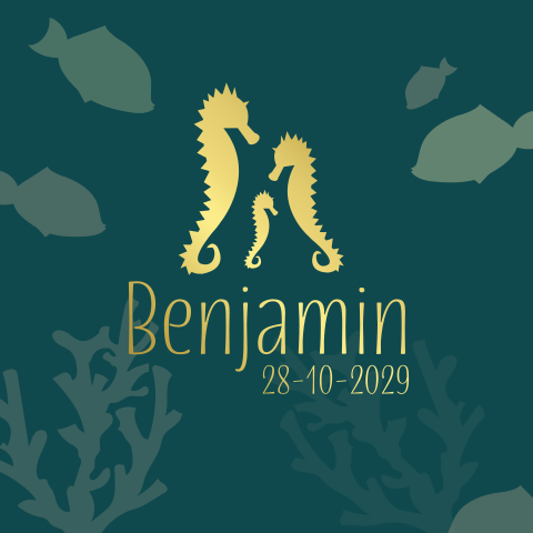 Geboortekaartje jongen met zeepaardje contour foliedruk