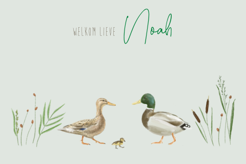 Geboortekaartje jongen familie eend Noah