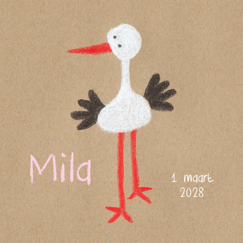 Geboortekaartje meisje met een ooievaar 
