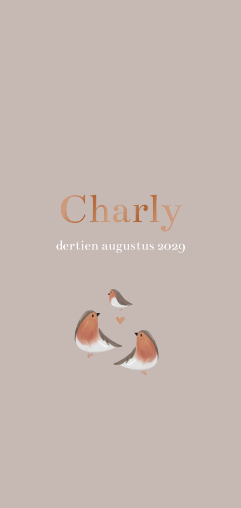 Geboortekaartje jongen met lieve vogeltjes roodborstjes