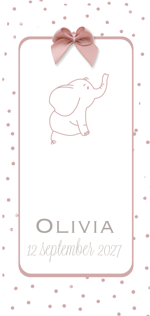 Geboortekaartje meisje met olifant en echt strikje