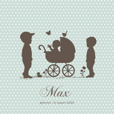 Geboortekaartje 3 broertjes derde kindje broer in eigen gezin 