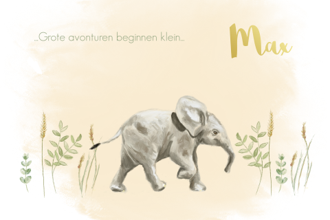 Geboortekaartje olifant jongen goudfolie