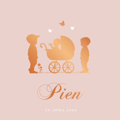 Geboortekaartje zusje met grote broers 3e kindje