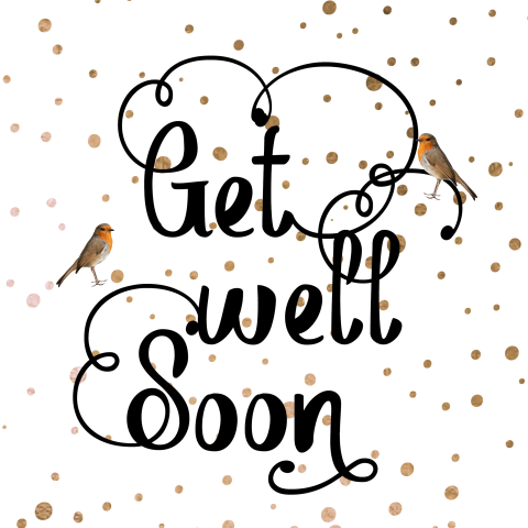 Beterschapskaart get well soon met vogeltjes