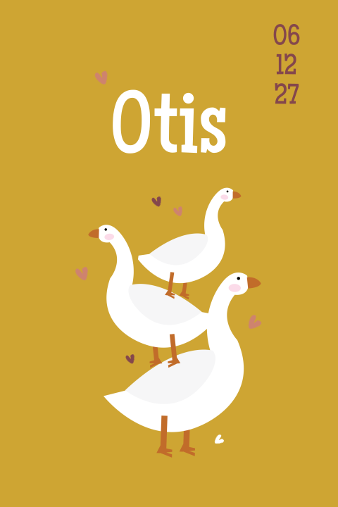 Geboortekaartje jongen met ganzen