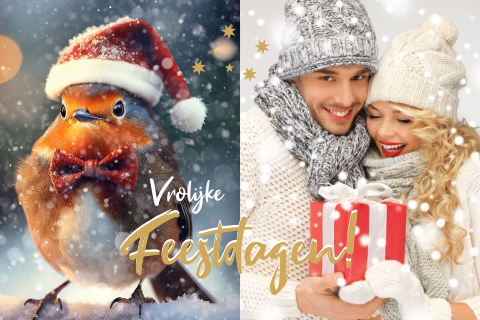 Kerstkaart fotokaart roodborstje