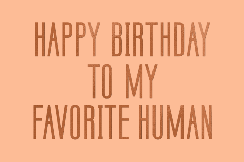 Wenskaart voor een verjaardag met leuke tekst