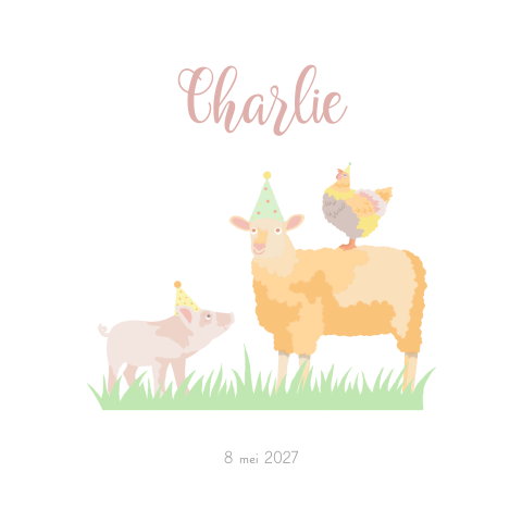 Geboortekaartje voor een jongen of meisje met boerderij dieren