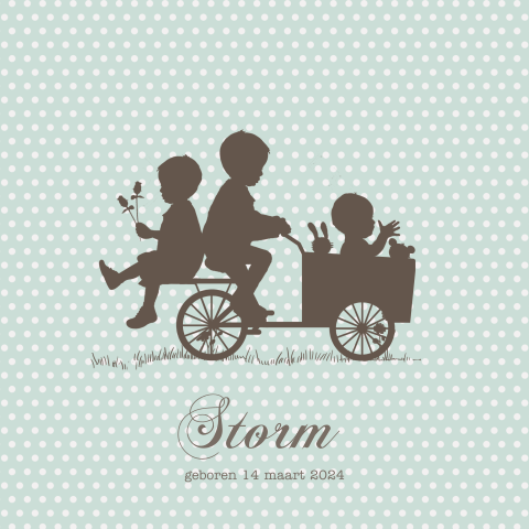 Profiel geboortekaartje broertjes derde kindje broer