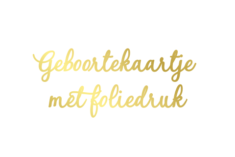 Geboortekaartje  met foliedruk vouw links
