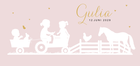 Geboortekaartje zusjes 3e kindje met tractor en baby hekje