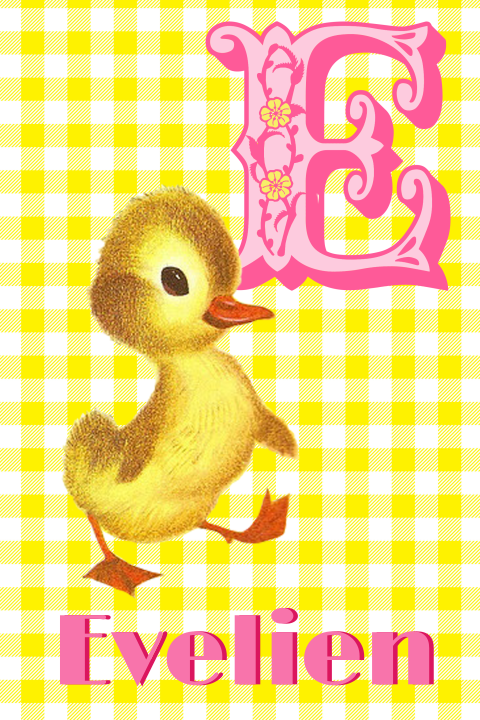 Geboortekaart retro alfabet op maat eendje