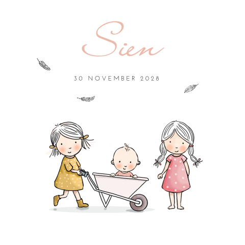 Geboortekaartje 3e kindje meisje met 2 grote zussen