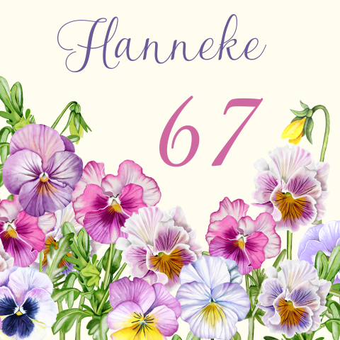 Uitnodiging pensioen vrouw 67 jaar feestje violen