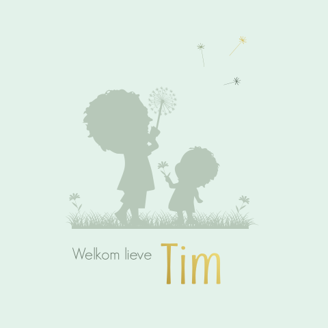 Geboortekaartje 2e kindje met een silhouet van 2 broers