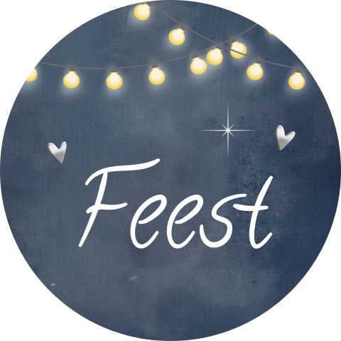 Sluitzegel feest met typografie en lichtslinger