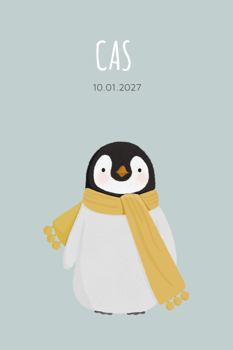Winters geboortekaartje met pinguin voor een jongen
