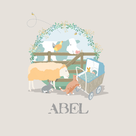 Geboortekaartje voor een jongetje met boerderij dieren