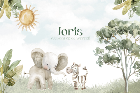 Geboortekaartje voor een jongen met olifantje en zebra avontuur