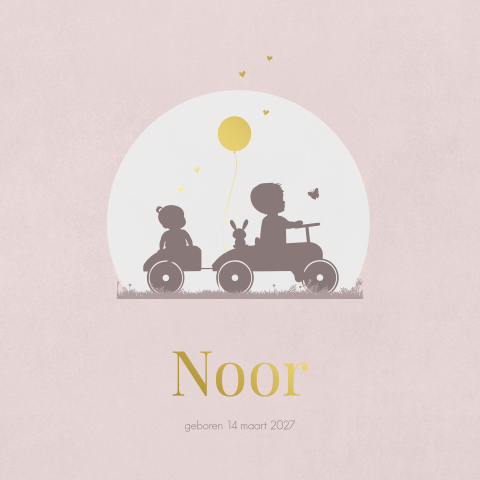 Geboortekaartje meisje 2de kind met grote broer op loopwagen 