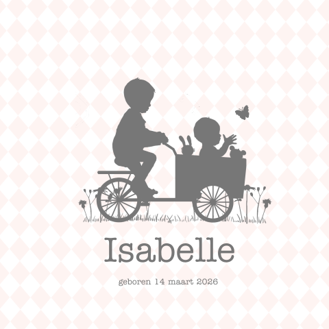 Babykaartje meisje profiel bakfietsje met broertje