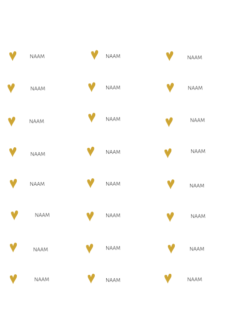 24 Naamkaartjes 6,5 x 2,5 cm