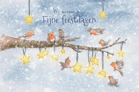 Kerstkaart met roodborstjes en sterren