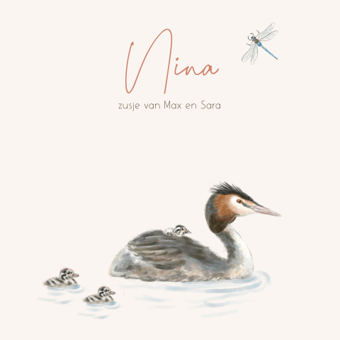 Geboortekaartje 3e kindje fuut met drie jongen