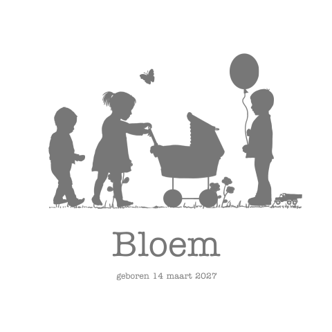 Zusje geboortekaartje meisje vierde kindje