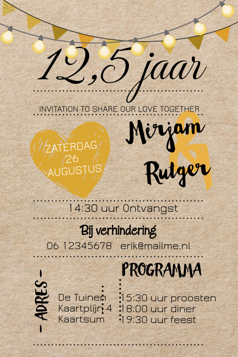 Uitnodiging 12,5 jarig jubileum feest met licht snoer