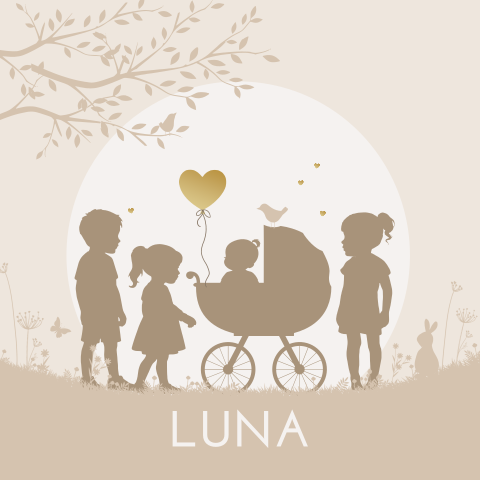 Geboortekaartje vierde kindje meisje in kinderwagen broer en zussen