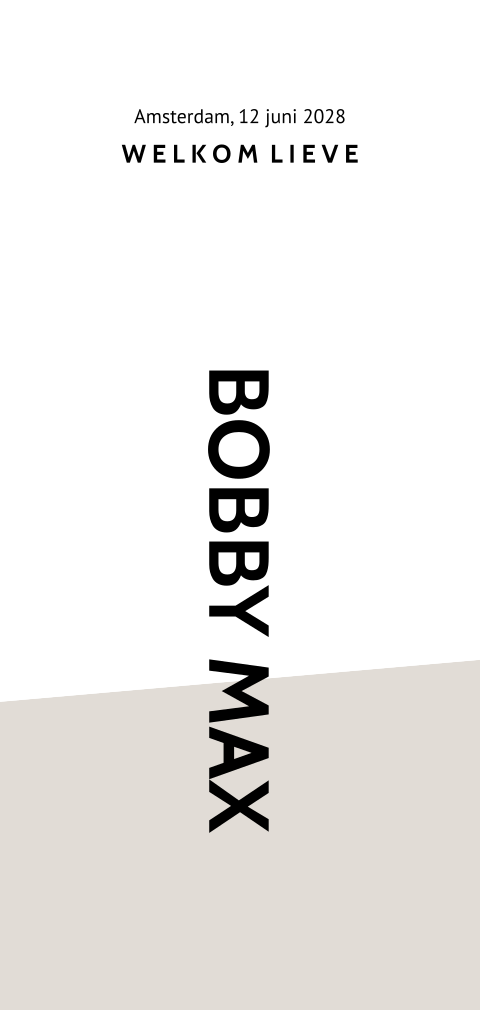 Rustig geboortekaartje jongen met kleur vlakken Bobby