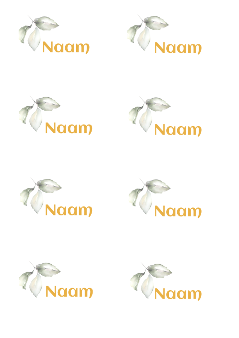 Naamkaartjes 8 stuks 8 x5,5 cm label met gat