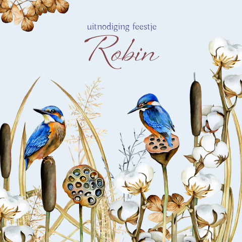 Uitnodiging verjaardag feestje met ijsvogels 80 jaar