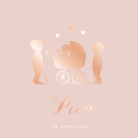 Geboortekaartje zusje met grote broers 3e kindje