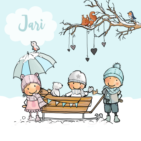 Geboortekaartje 3e kindje winter baby broertje in een slee met sneeuw