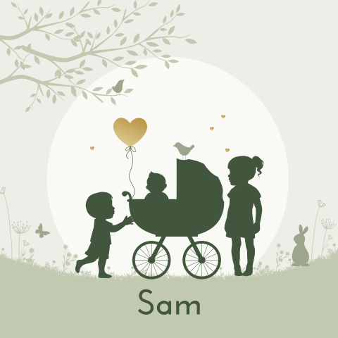 Geboortekaartje 3e kindje jongen in kinderwagen broer en zus