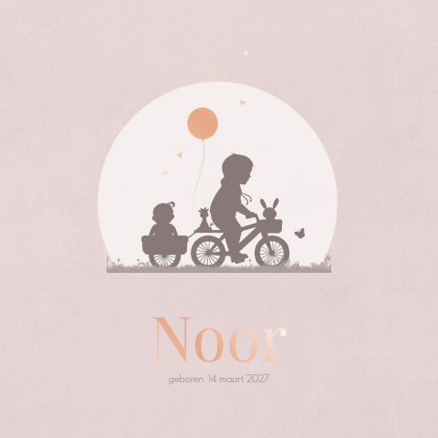 Geboortekaart 2de kindje meisje bakfiets met grote broer foliedruk
