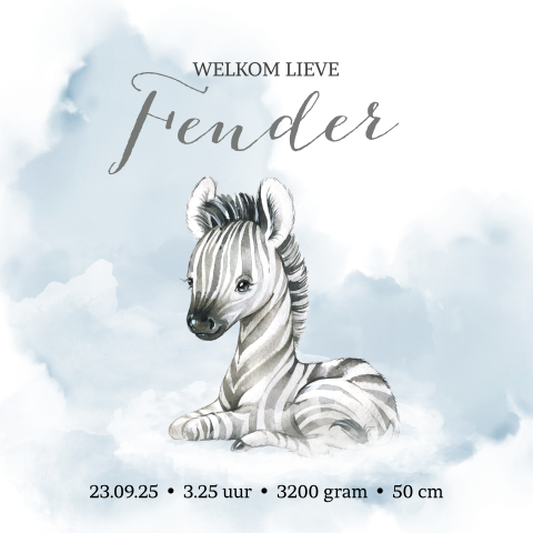 Geboortekaartje jongen met een zebra