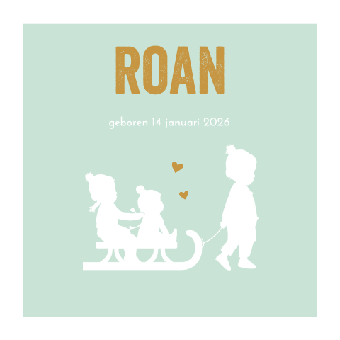 3e kindje geboortekaartje broertjes groen met slee winter