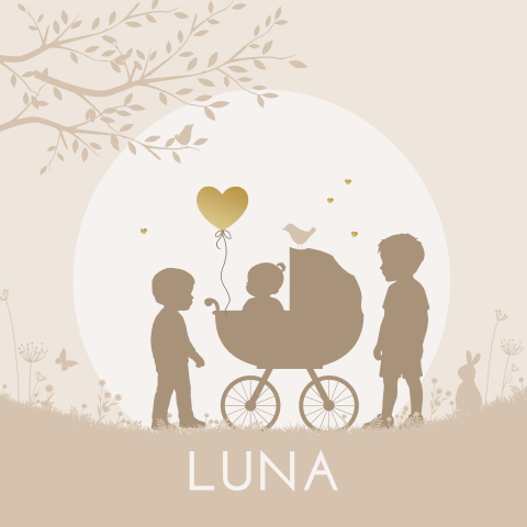 Geboortekaartje meisje met 2 grote broers derde kind