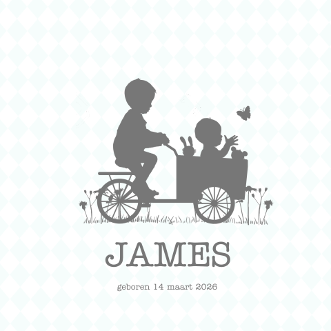 2de kindje geboortekaartje jongen bakfiets met broertje