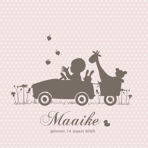Geboortekaartje meisje in trapauto met een kar