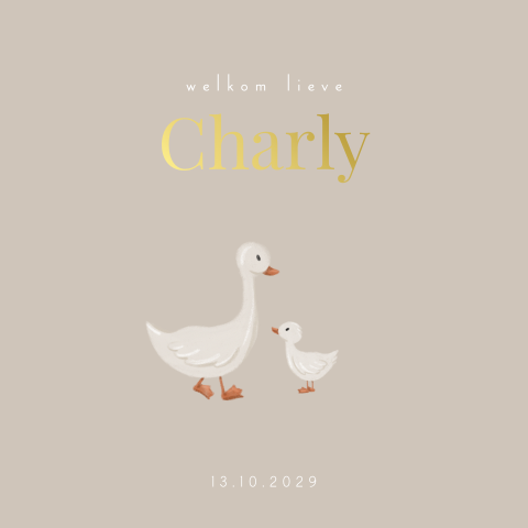 Geboortekaartje met eendjes voor jongen of meisje