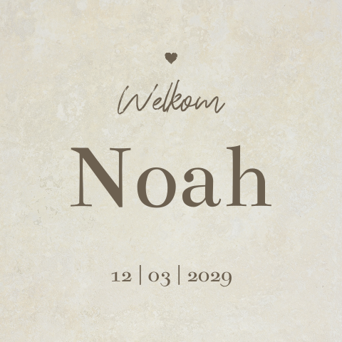 Geboortekaartje jongen aardetinten met foto binnenzijde