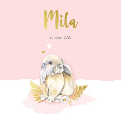 Lief geboortekaartje voor een meisje met een konijn
