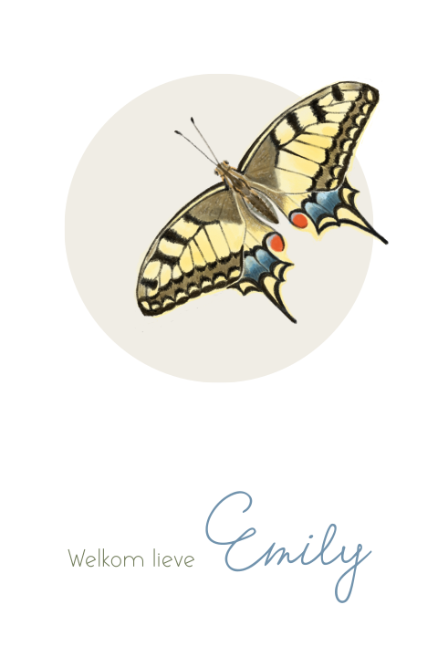Geboortekaartje jongetje met vlinder Koninginnenpage