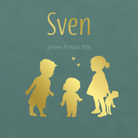 Goudfolie geboortekaartje 3de kindje broertje en zus velvet groen