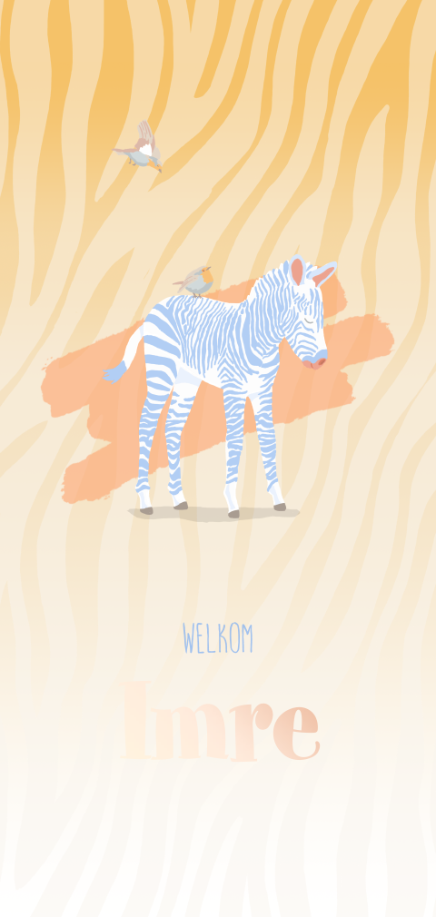 Geboortekaartje neutraal met een zebra